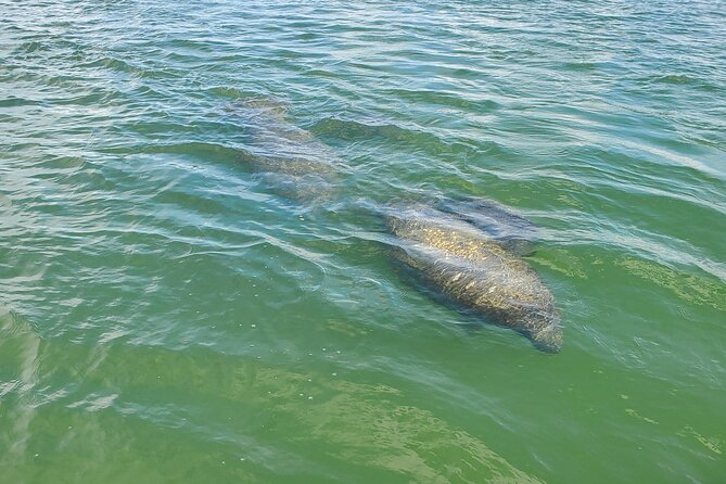 Sunset Dolphin Cruise with Sanibel Lighthouse Views - Your route: Shrimp Boat Fleet, Mound House, and Bowditch Point