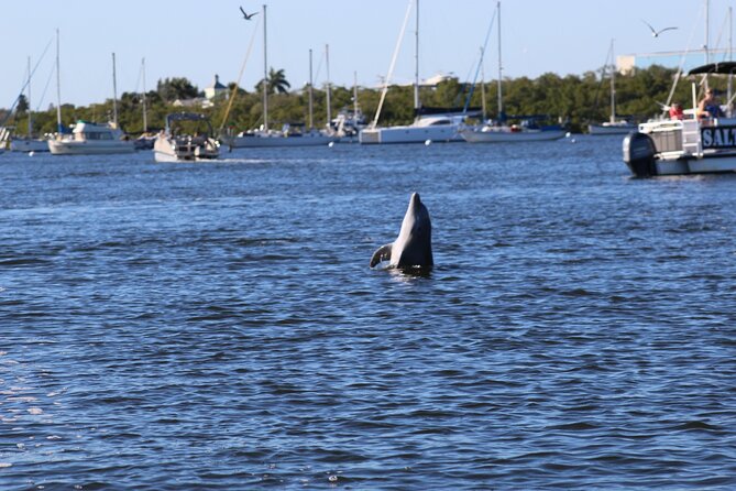 Sunset Dolphin Cruise with Sanibel Lighthouse Views - Crew energy: Dan, Deacon, and the humor that keeps it fun