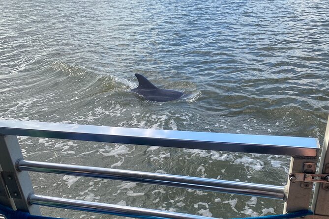 Sunset Dolphin Eco Tour - The Bridge Stop: Talmadge Memorial Bridge Timing Depends on Your Route
