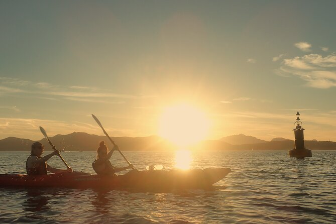 Sunset Dolphin Kayak Tour at Golfo Aranci - Key Highlights Worth Planning For