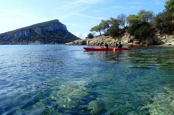 Sunset Dolphin Kayak Tour at Golfo Aranci - Snorkeling in the Right Places: More Than Just Paddling