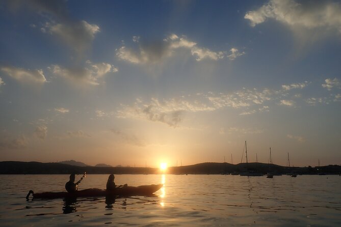 Sunset Dolphin Kayak Tour at Golfo Aranci - Weather, Timing, and Your Best Day to Go