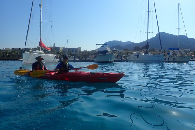 Sunset Dolphin Kayak Tour at Golfo Aranci - How the Paddling Works for Beginners (and Why You’ll Feel Confident)