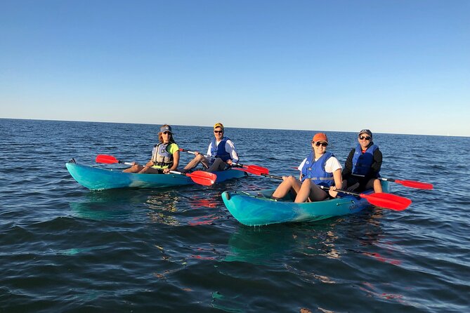 Sunset Dolphin Kayak Tours - The pacing: how the 2 hours usually feels on the water