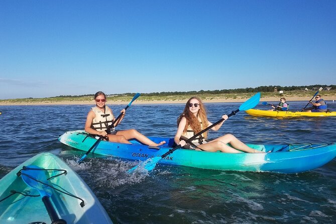 Sunset Dolphin Kayak Tours - Price and value: why $68 can feel like a bargain