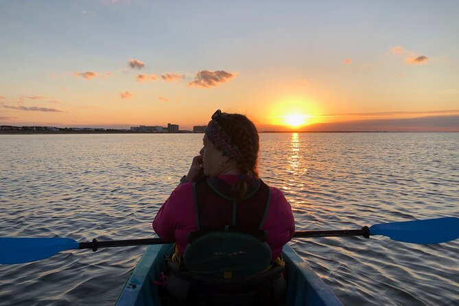 Sunset Dolphin Kayak Tours - Should you book Sunset Dolphin Kayak Tours?