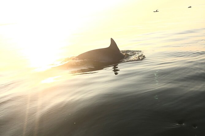Sunset Dolphin Kayak Tours - Cape Henry lighthouses and the Bridge-Tunnel glow on the return