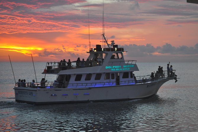 Sunset Dolphin Watch Tour - Brazos Santiago Pass: Where Dolphin Spotting Actually Happens