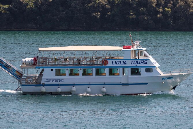 Sunset Dolphin Watching Boat Tour from Vrsar - How the dolphin watching works once the crew spots them