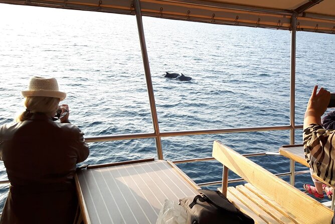 Sunset Dolphin Watching Boat Tour from Vrsar - What to bring (and what to plan for) for a smooth 2-hour cruise