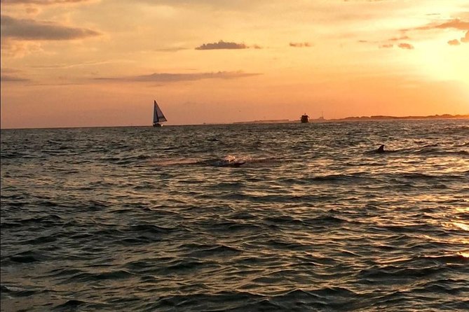 Sunset Dolphin Watching Cruise in Destin Harbor - Destin Harbor at golden hour: what a 45-minute ride really delivers