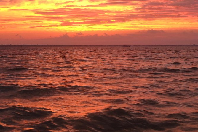 Sunset Dolphin Watching Cruise in Destin Harbor - What the ride feels like if you’re sensitive to motion or age