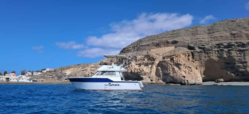 Sunset Dolphin Watching Tour on Hybrid Boat in Small Group - Who You’re With: Skipper Víctor and Biologist Paula