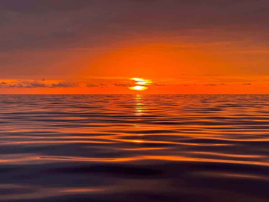 Sunset Dolphin Watching Tour on Hybrid Boat in Small Group - What You Can Spot on the Southern Coast (and Why Some Trips Are Quieter)