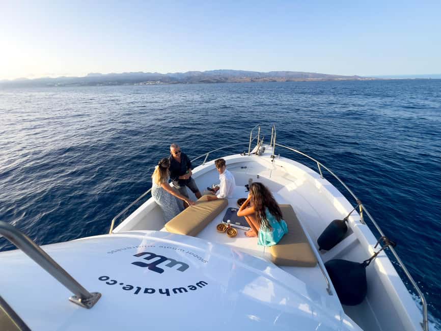 Sunset Dolphin Watching Tour on Hybrid Boat in Small Group - The 2.5 Hours Breakdown: How the Cruise Typically Unfolds