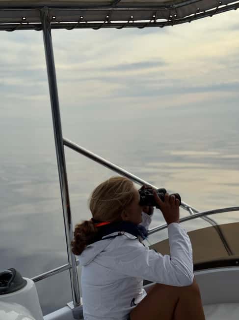 Sunset Dolphin Watching Tour on Hybrid Boat in Small Group - Price and Value: What $88 Buys for 2.5 Hours