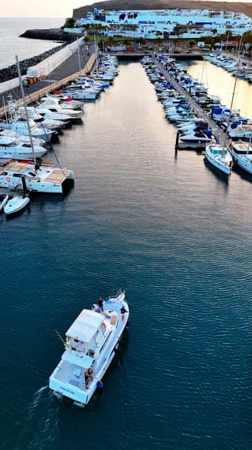Sunset Dolphin Watching Tour on Hybrid Boat in Small Group - Best For: Who This Tour Fits (and Who Might Skip It)
