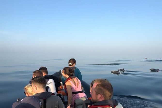 Sunset Dolphin Watching with Marine Biologists - How the Sunset Changes the Game (and What Weather Can Do)