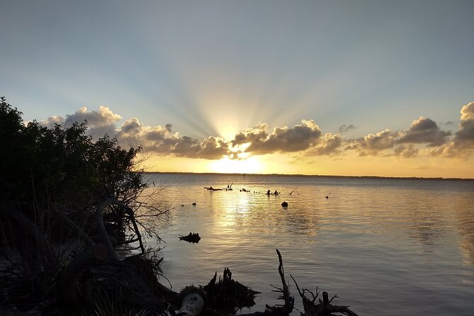 Sunset kayaking tour at Manatee Cove with Manatee & Dolphin sightings - Key things to know before you paddle Manatee Cove