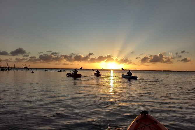 Sunset kayaking tour at Manatee Cove with Manatee & Dolphin sightings - Entering Manatee Cove at 6:00 pm from Merritt Island