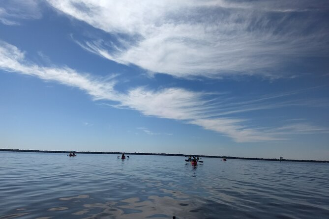 Sunset kayaking tour at Manatee Cove with Manatee & Dolphin sightings - The island stop: shells, a pause, and Florida sunset timing