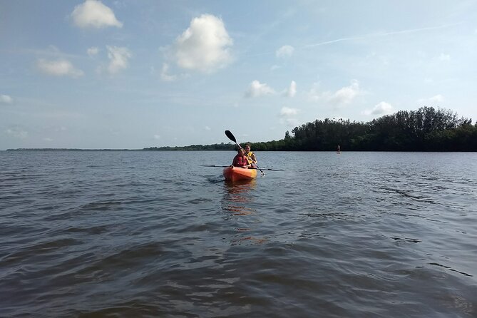 Sunset kayaking tour at Manatee Cove with Manatee & Dolphin sightings - Who should book this kayak tour (and who might want to pass)