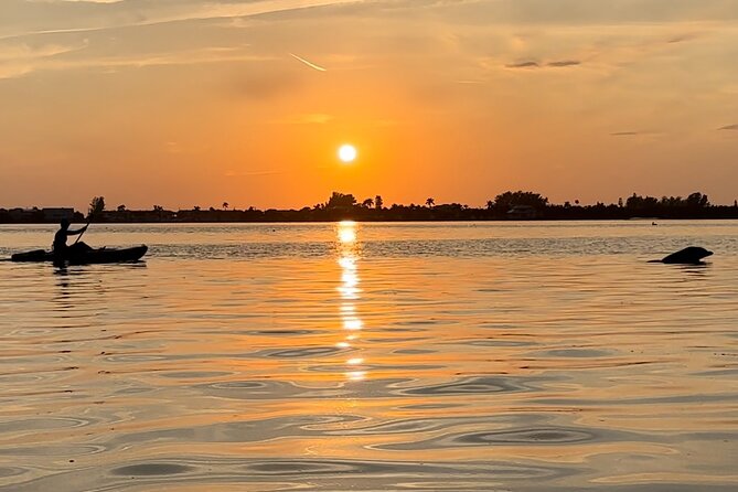 Sunset Kayaking with Dolphins - Key things to know before you paddle