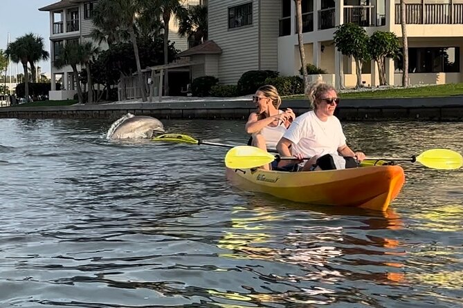 Sunset Kayaking with Dolphins - Price and time: does $60 make sense?