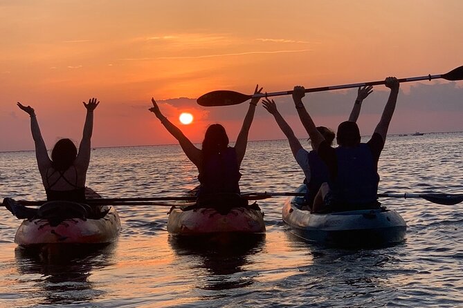 Sunset Kayaking with Dolphins - Birds, manatees, and the rest of the wildlife show
