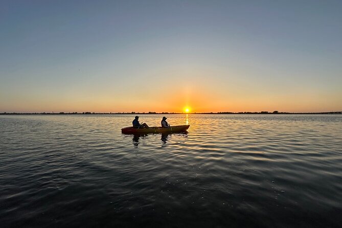 Sunset Kayaking with Dolphins - How the guides change the experience (Tommy, Kinsey, Jonah, Evan, Ben, and Mckenna)