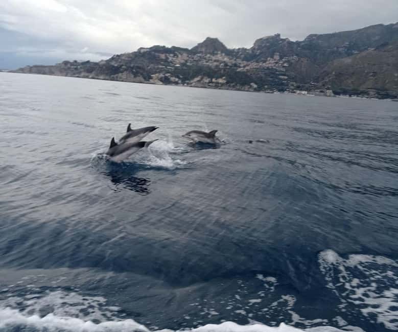 Sunset tour in search of dolphins with aperitif - Who This Tour Fits Best (and Who Might Want Something Else)