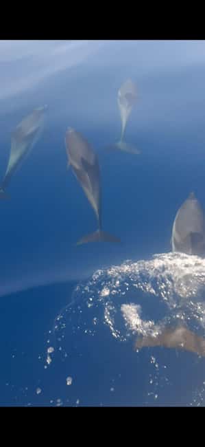 Sunset tour in search of dolphins with aperitif - Giardini Naxos to Taormina Riviera: The Route You’ll Remember