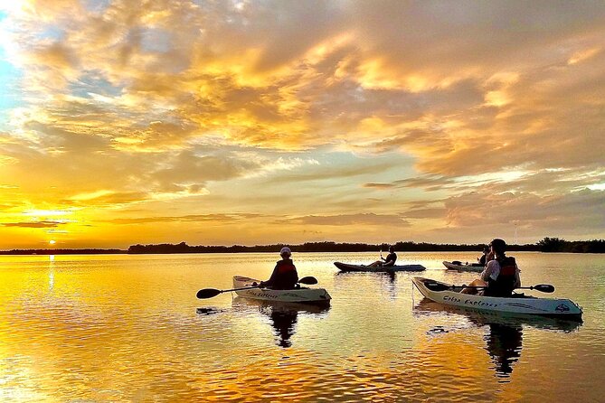 Sunset Tour Mangrove, Dolphins, Manatee #1 Rated in Cocoa Beach - Key Takeaways Before You Go