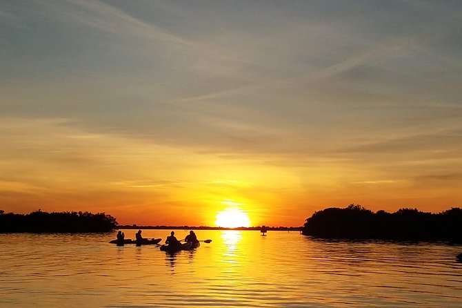 Sunset Tour Mangrove, Dolphins, Manatee #1 Rated in Cocoa Beach - Why This Cocoa Beach Kayak Tour Feels Worth It