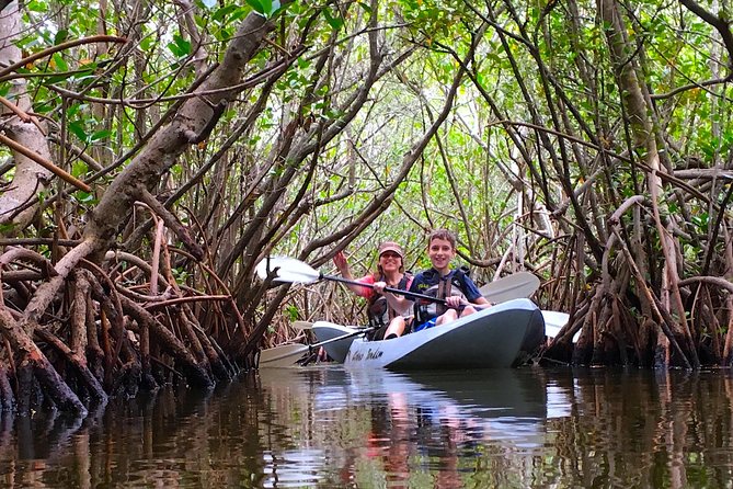 Sunset Tour Mangrove, Dolphins, Manatee #1 Rated in Cocoa Beach - The Mangrove Tunnels: Where the Adventure Actually Happens