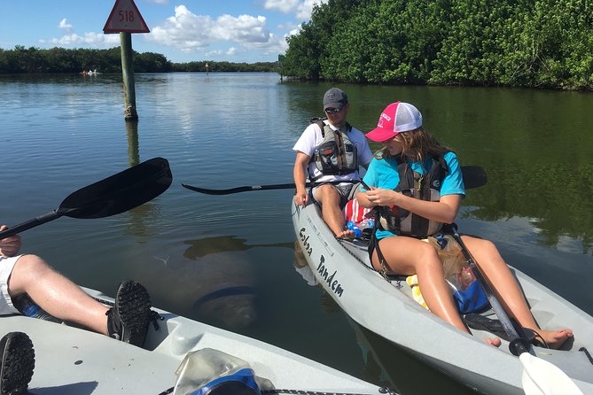 Sunset Tour Mangrove, Dolphins, Manatee #1 Rated in Cocoa Beach - Sunset Timing, Wind, and What to Wear for a Comfortable Paddle