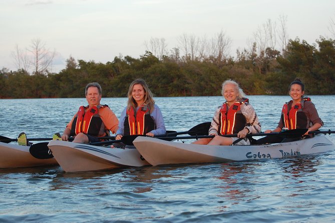 Sunset Tour Mangrove, Dolphins, Manatee #1 Rated in Cocoa Beach - Price and Value: Is $60 a Good Deal Here?