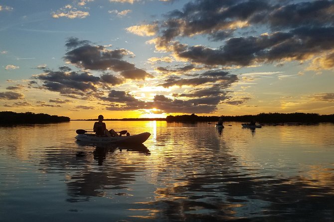 Sunset Tour Mangrove, Dolphins, Manatee #1 Rated in Cocoa Beach - Who This Tour Fits Best (And Who Should Consider Another Option)