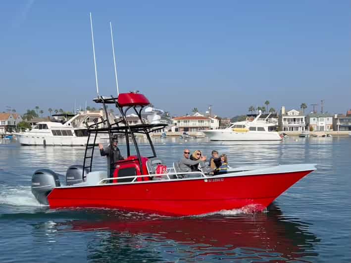 Superior 2hr Private Whale & Dolphin Watching Newport Beach - Price and Value: Is $495 Worth It?