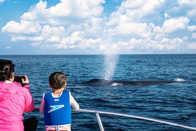 Supreme 2hr Whale/Dolphin Watching Newport Beach, 6 person max - Newport Beach whale and dolphin watching at sunset: what you’re buying