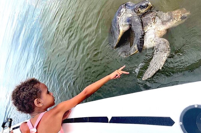 Swim and Paddle Board with Wild Dolphin Pods in Puerto Vallarta - Boat Ride Reality: Comfort, Motion, and Packing Like a Pro
