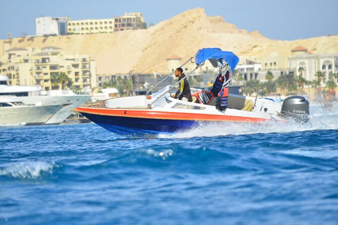 Swim With Dolphin By Semi PRIVATE Speedboat & Transfer - Hurghada - 8:00 am Pickup And Air-Conditioned Transfer (The Underrated Part)