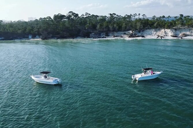 Swim with Dolphins And Snorkeling Group Tour - Panama City Beach Launch: what your boat day starts like