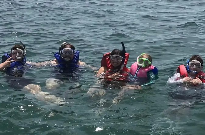 Swim with Dolphins And Snorkeling Group Tour - Gear and comfort: what’s included and what you should pack