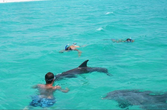 Swim with Dolphins And Snorkeling Group Tour - Who should book this dolphin swim and snorkeling tour