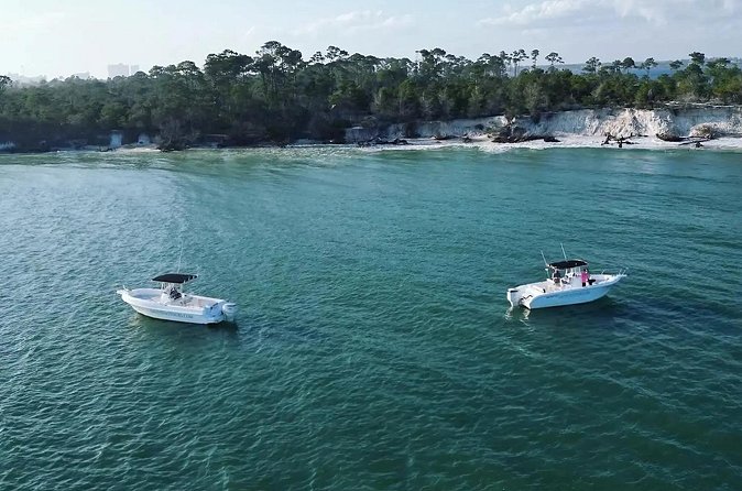 Swim with Dolphins And Snorkeling Group Tour - Weather, waves, and the wild factor: how to set yourself up for success
