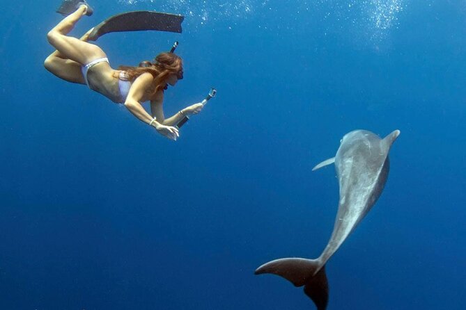 Swim with Dolphins Catamaran with Waterslide & Lunch on Oahu - Makaha snorkeling: sea turtles, reef fish, and how the water activities fit