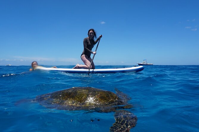 Swim with Dolphins Catamaran with Waterslide & Lunch on Oahu - Lunch and snacks: turkey sandwich, veggie wrap, and what you’ll actually need