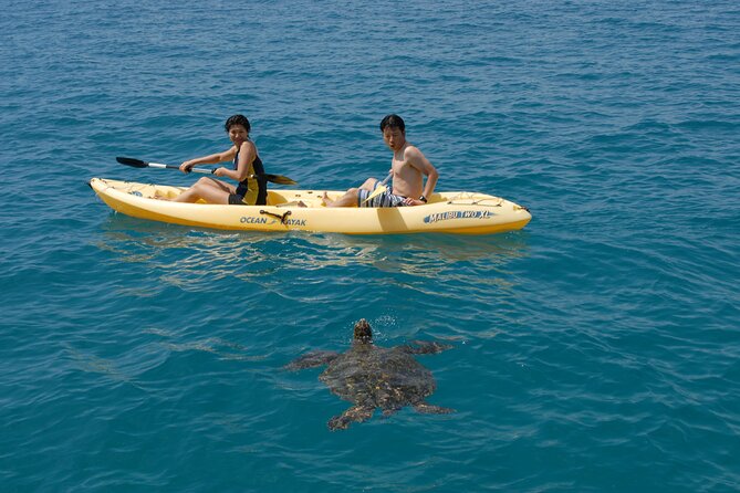Swim with Dolphins Catamaran with Waterslide & Lunch on Oahu - Price and value: when $199 feels fair