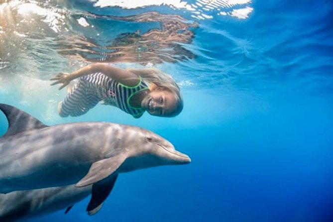 Swim with Dolphins Semi Private Speedboat Sea Tour - Hurghada - The semi-private part: how it affects your day